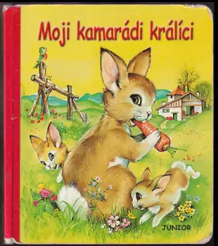 Název varianty