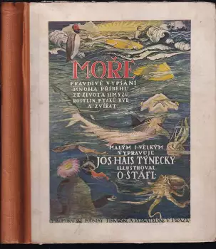 Název obrázku