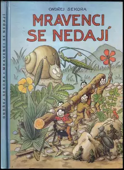 Název obrázku