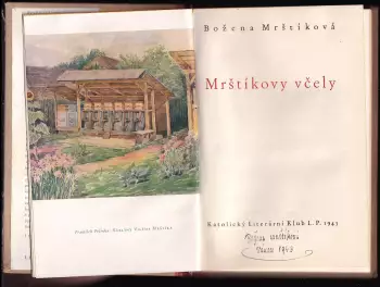 Název obrázku