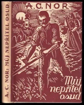 Název varianty