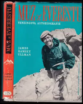 Obrázek varianty