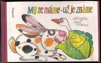 Název varianty