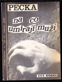 Název obrázku