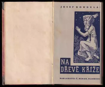 Název obrázku