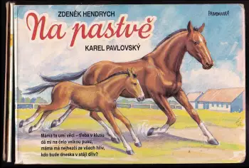 Název varianty