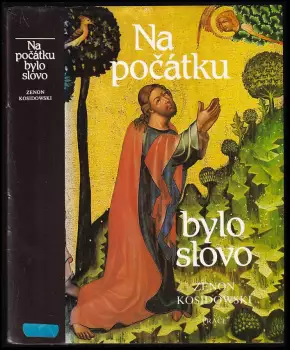 Název varianty