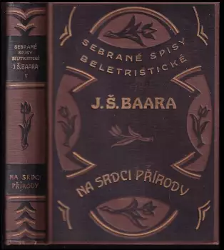 Název obrázku