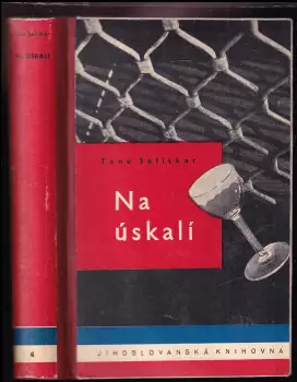 Název varianty