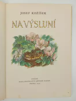 Název obrázku