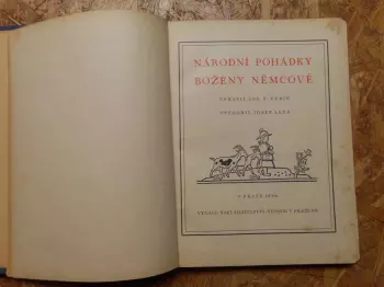 Název obrázku
