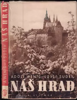 Název obrázku