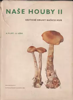 Název varianty