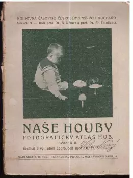 Název obrázku