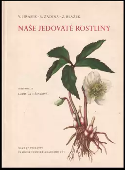 Název obrázku