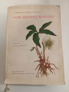 Název varianty