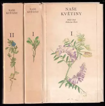 Název varianty