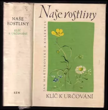 Název varianty