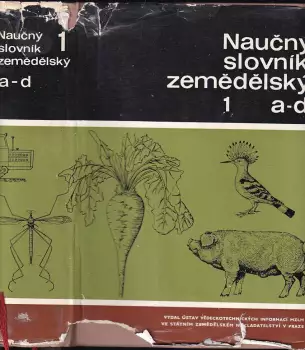 Název varianty