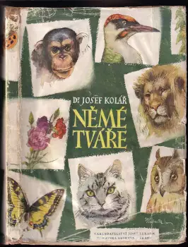 Název varianty