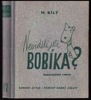Název obrázku