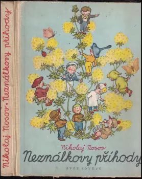 Název varianty