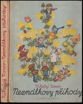 Název varianty