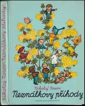 Název varianty