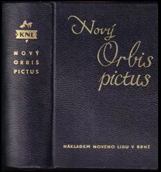 Obrázek varianty