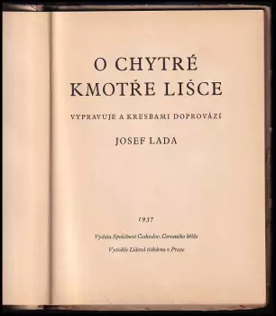 Název obrázku