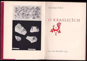 Název obrázku