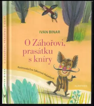 Název varianty
