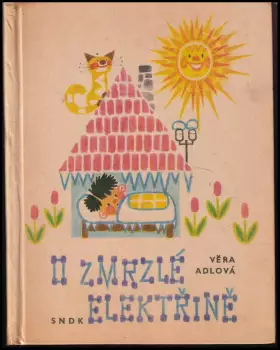 Název varianty