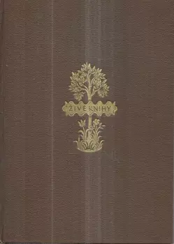 Božena Benešová: Oblouzení