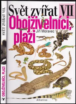 Název obrázku