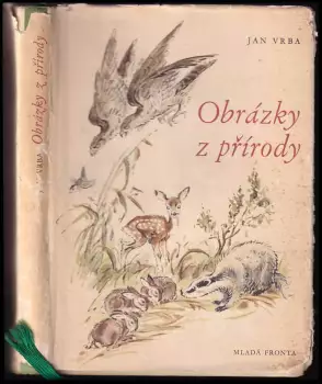 Název obrázku