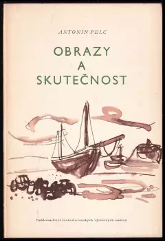 Obrázek varianty