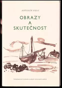 Obrázek varianty