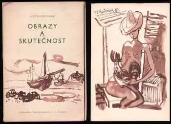 Obrázek varianty