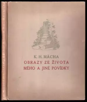 Název obrázku