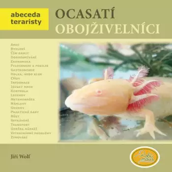 Název varianty