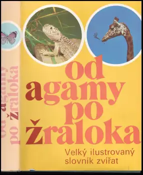 Obrázek varianty