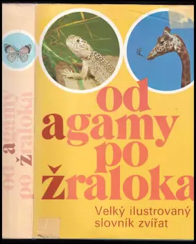 Obrázek varianty