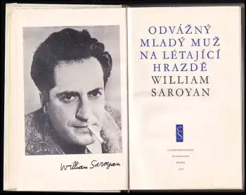 Název obrázku