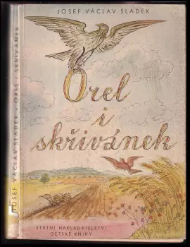 Název obrázku