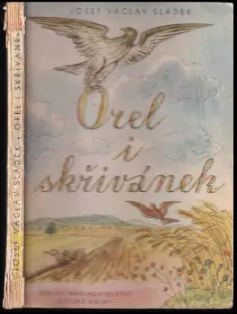 Název varianty