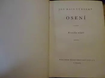 Název obrázku