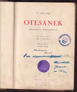 Název obrázku