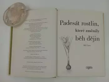 Název obrázku