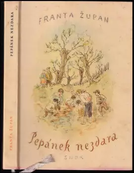 Název varianty